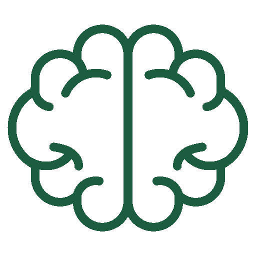 Brain hemispheres